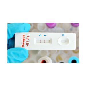 Teste de Dengue