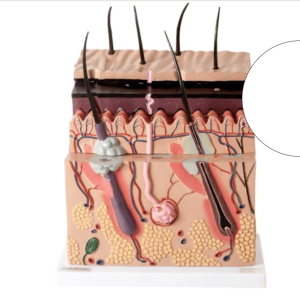 Screenshot 2025-03-23 215115